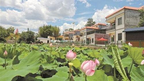 深圳吃瓜最新事件爆料新闻,揭秘背后惊人真相  第2张