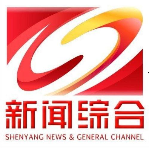 沈阳电视台新闻爆料电话,揭露社会热点事件  第1张