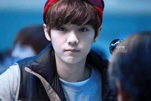 娱乐圈爆料鹿晗身份信息,鹿晗身份信息大曝光！  第3张