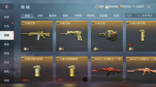 体验服武器最新爆料,体验服最新爆料揭示神秘武器性能与特色