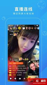 东北二嫂在线观看网站  第3张