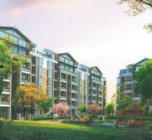 江油二手房爆料信息最新,最新爆料揭示价格走势与热门房源  第2张